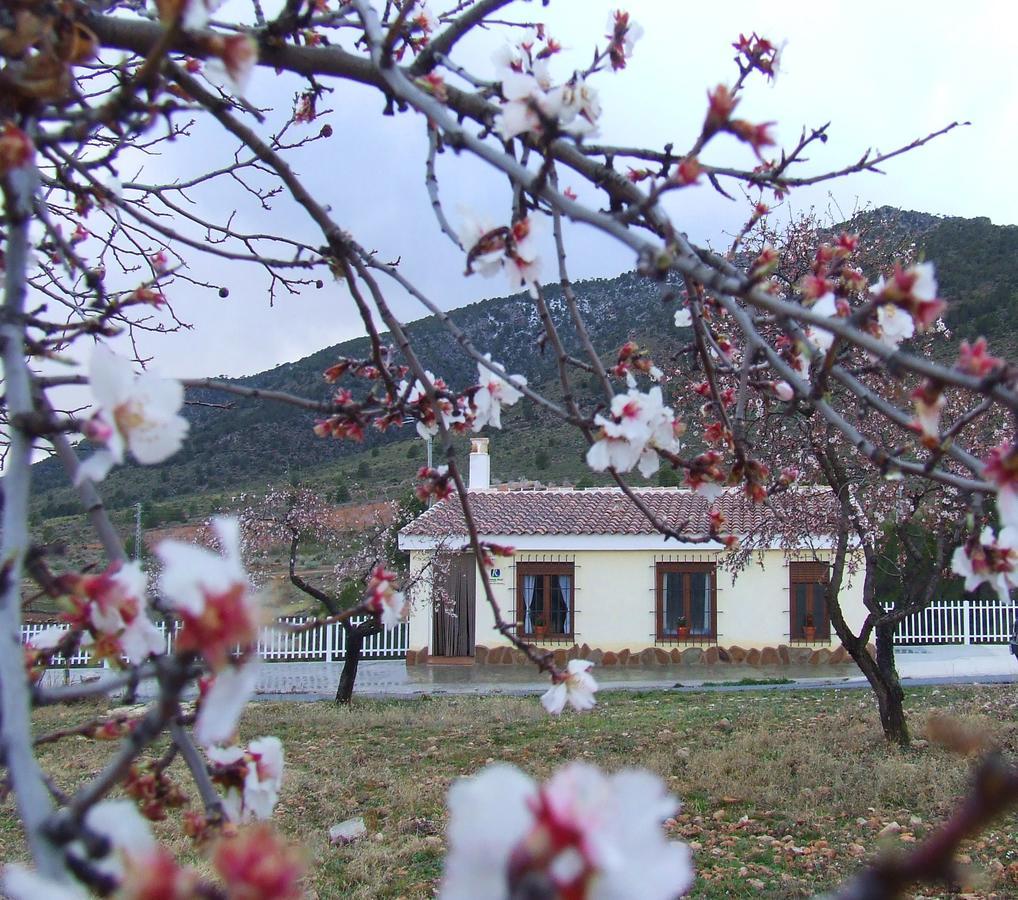 Affittacamere Vivienda Rural Embalse San Clemente Huéscar Esterno foto